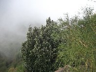 nte Fontane-201011107 047